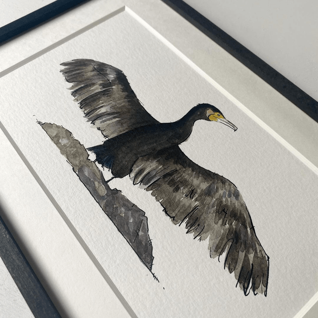 LE CORMORAN