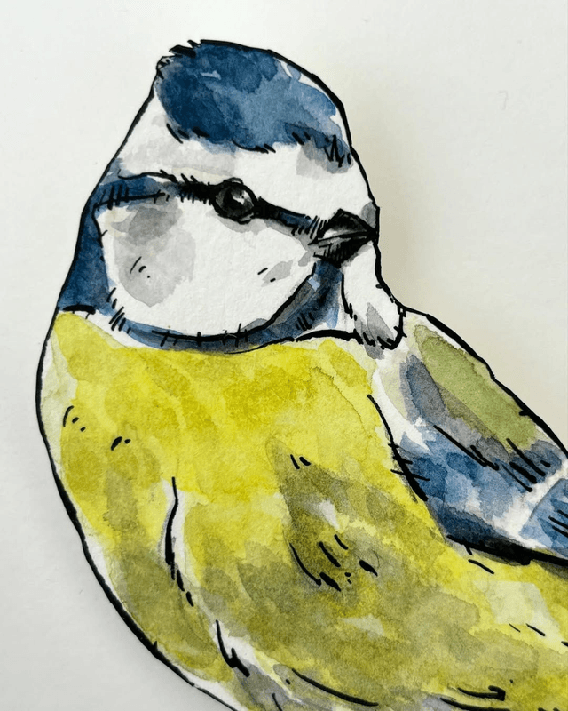 LA MÉSANGE BLEUE