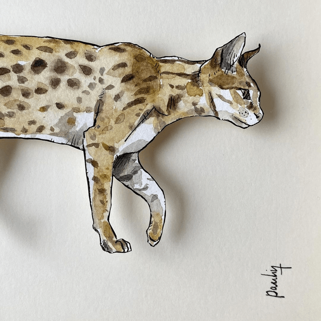 LE CHAT