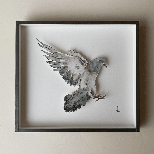 LE PIGEON VOLEUR